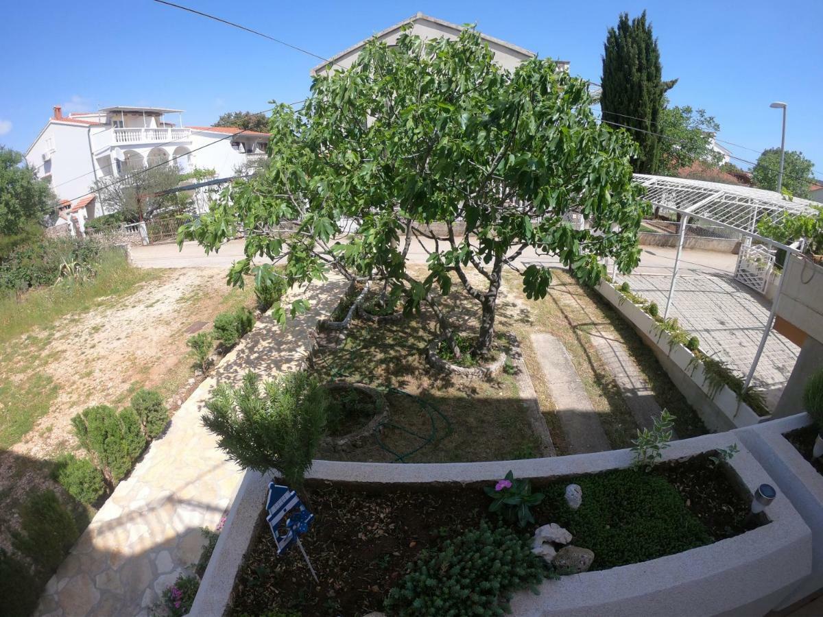 רוגוזניצה Apartments Delibasic מראה חיצוני תמונה