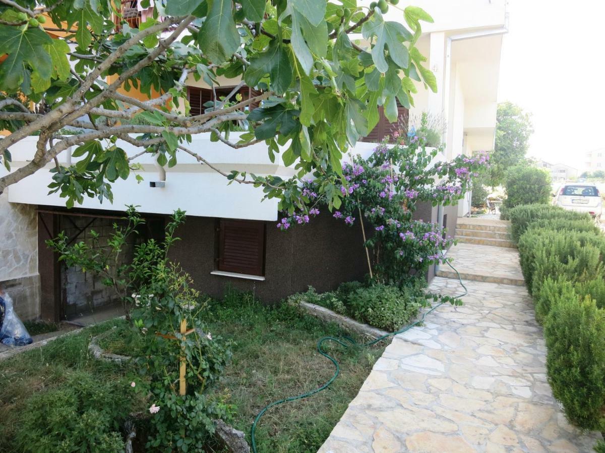 רוגוזניצה Apartments Delibasic מראה חיצוני תמונה